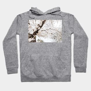 Cherry Blossoms Hoodie